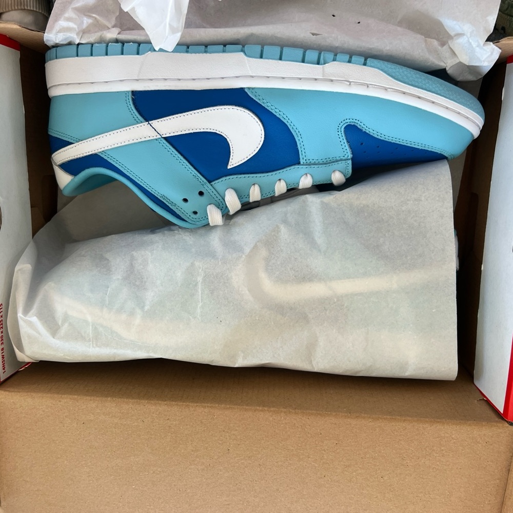 Nike dunks size 10 1/2 white and blue Aragon blue
